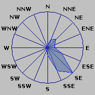 Wind Rose